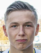 Bjarkason